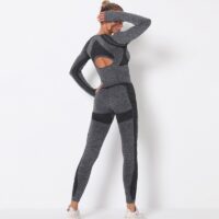 Yoga Clothing Set Women Sportswear Sports Outfit Fitness Set